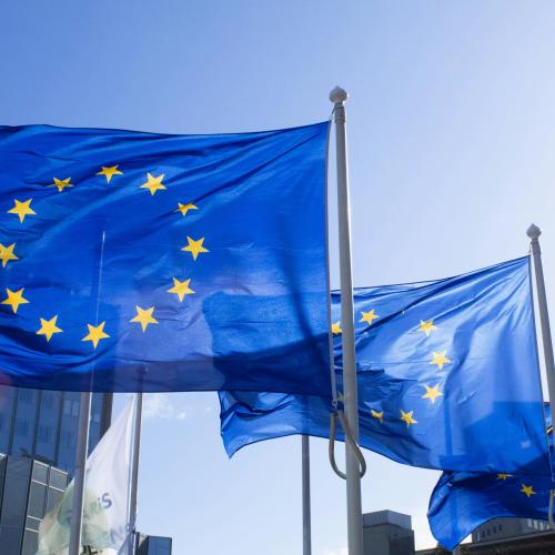 Die Europäische Flagge